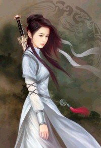 男妃升级系统