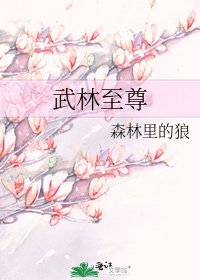 武林至尊